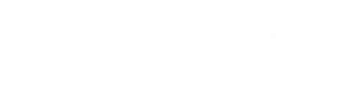Treasure Island Limited
