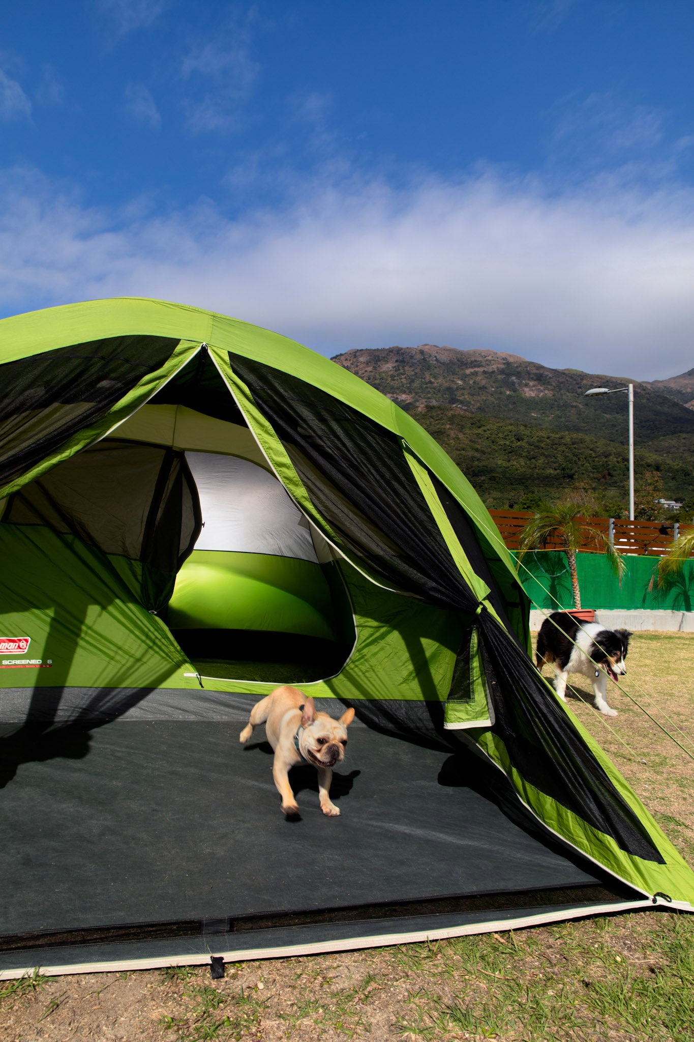 massive family tent Large Family Tent